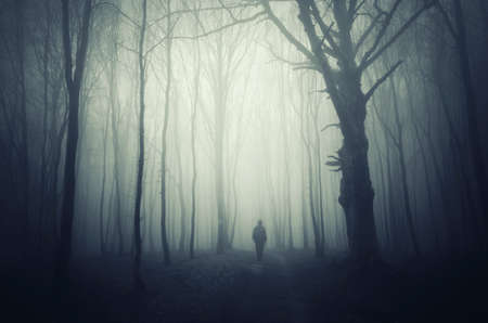 Ghost in the fogの写真素材