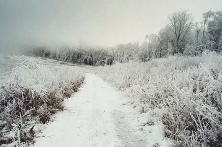 Arrayの写真素材