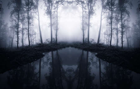 Surreal symmetrical forest with lakeの写真素材