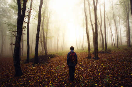 Hiking in mysterious forest with strange fog