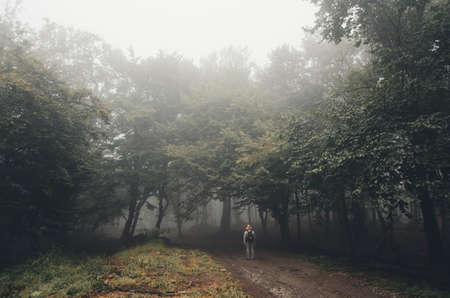 Man walking into a dark mysterious haunted forest with fog in autumnの写真素材