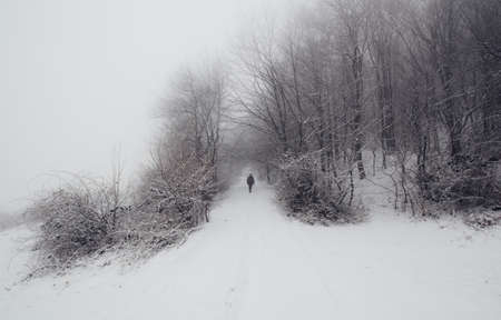 Man walking through the snow in winter dreamy landscapeの写真素材