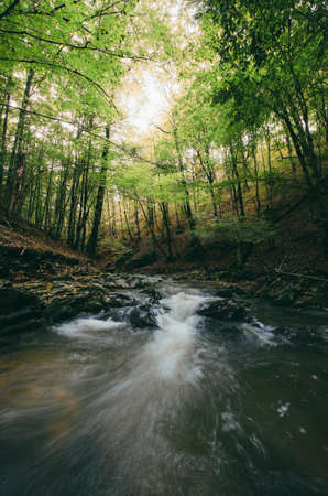 Forest River Swirling Through Cliffsの写真素材