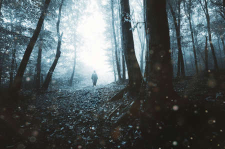 Ghost in surreal haunted forestの写真素材