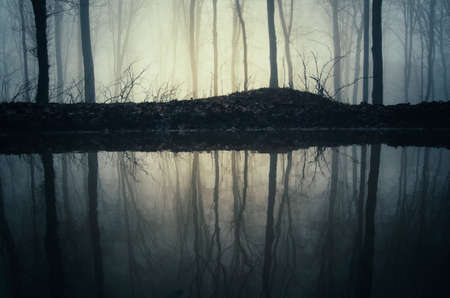 Lake reflection in mysterious dark haunted forest with fog on Halloweenの写真素材