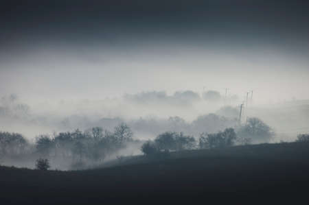 Foggy meadow in the morning with mysterious light and trees on cold autumn morningの写真素材