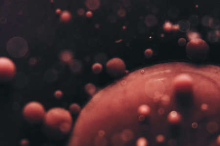 Abstract red blood cells under microscope or abstract red universe