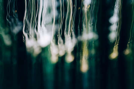 Abstract nature background. Mysterious lights falling on forest backgroundの写真素材
