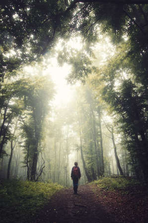 Man on path in mysterious enchanted forest with fog. Silhouette of man on road in mysterious forest with fog on Halloweenの写真素材