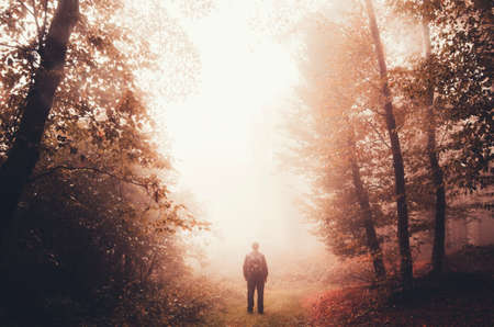 Man in dark mysterious haunted forest. Dark woods with surreal fog. Haunted forest background. Man silhouette in Halloween forestの写真素材