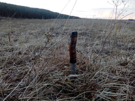 the meadowの写真素材