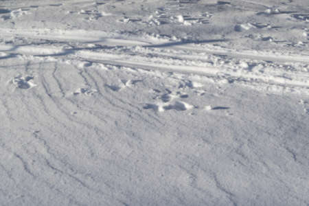 The street is white with snow. Snow is the ski track. There are some traces of the foot of man. No one. A bright Sunny day.の写真素材