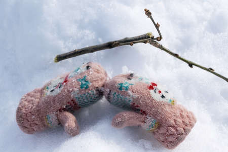 Mitten lying on the snow. Nearby is a branch from the tree. Knitted mittens with pattern.の写真素材