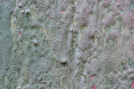 The texture of the walls of wood painted with red, green, grey, brown, yellow, burgundy paint. Visible cracks, bumps and depressions. Under the paint visible old layer of paint.の写真素材