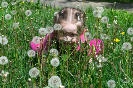 Little girl hides in a clearing in the grass and dandelions. Dandelions fluffy. The girl dressed in shirt and pants. The girl looks slyly through the dandelions for us.の写真素材