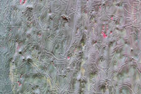 The texture of the walls of wood painted with red, green, grey, brown, yellow, burgundy paint. Visible cracks, bumps and depressions. Under the paint visible old layer of paint.の写真素材