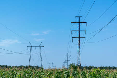 Two rows of pylons. In the foreground a field of corn. On supports hanging electric wires. Electricity, high voltage. In the background the blue sky and white clouds. Visible on support insulators.の写真素材