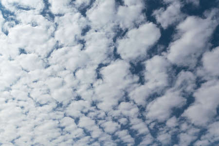 In the blue sky white Cumulus clouds arranged in a grid or pattern. The sun is shining and the clouds are shining. Summer day with the wind. Landscape, climate.の写真素材