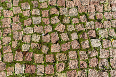 The road paved with square stones or stones and growing moss. The surface of the stones coarse and rough. In the seams sprouted moss. The cobbles have a mottled texture and pattern.の写真素材