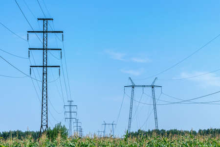 Two rows of pylons. In the foreground a field of corn. On supports hanging electric wires. Electricity, high voltage. In the background the blue sky and white clouds. Visible on support insulators.の写真素材