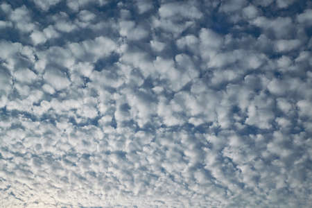 In the blue sky white Cumulus clouds arranged in a grid or pattern. The sun is shining and the clouds are shining. Summer day with the wind. Landscape, climate. Background pattern of clouds.の写真素材