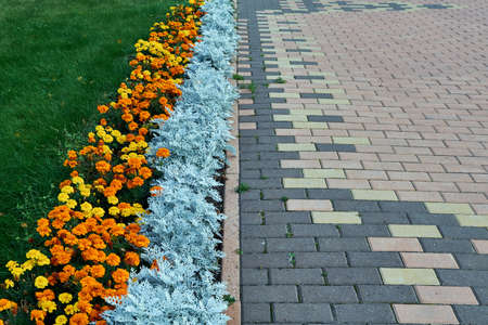 Paving pattern with rectangular shape and brown color. Along paved walkways planted flowerbed with beautiful orange and yellow flowers. On the left half of the flowers for the green grass.の写真素材