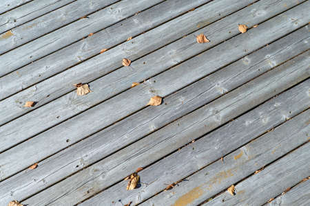 On wooden boards are fallen autumn leaves. The surface of the unpainted boards arranged diagonally. The sun shines. Cool Sunny day. Autumn, change of season. Background, backdrop.の写真素材