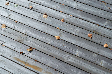 On wooden boards are fallen autumn leaves. The surface of the unpainted boards arranged diagonally. The sun shines. Cool Sunny day. Autumn, change of season. Background, backdrop.の写真素材