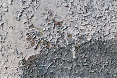 Cracked flakes of old oil paint on the surface of the concrete slab. Pattern of two colors, white and gray. Texture, background or backdrop. The result of environmental impact.の写真素材