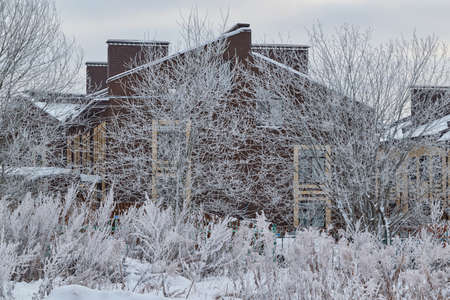 The village house is hidden by snow-covered branches of trees and bushes. Winter, cold. Snow and frost covered numerous branches and bushes. Gray cloudy sky. The countryside, calm.の写真素材