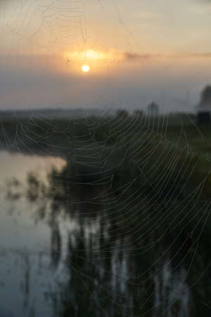 Sunrise over the lake and wet from the dew of a web. Fishing on the lake. Recreation center. August 2021.の写真素材
