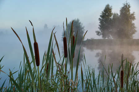 Fishing on the lake. Reflection in water. Recreation center. August 2021.
