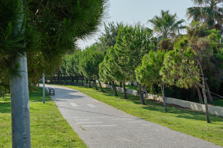 A walk in the park near the Black Sea coast. Vacation at the recreation center. Turkey.の写真素材