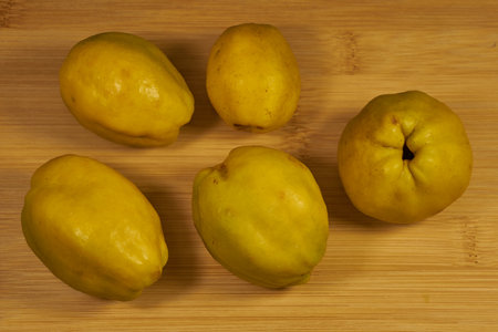 Quince is ripe in the garden. Quince (Latin Cydonia) is a monotypic genus of woody plants of the Rosaceae family. Species Quince is common, or Quince oblong (Latin Cydonia oblonga).の写真素材