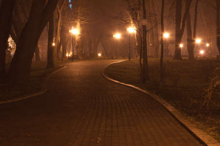 path in the night park の写真素材