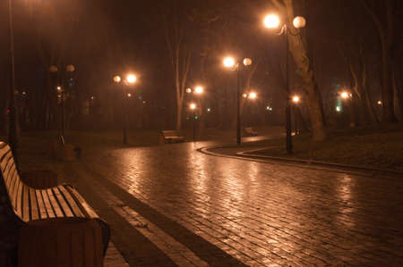 path in the night park の写真素材