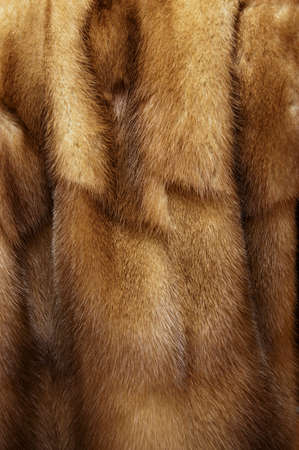 mink furの写真素材