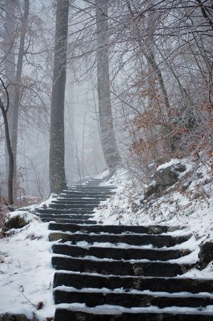 Stairs leading to the Savica waterfall through the misty forestの写真素材