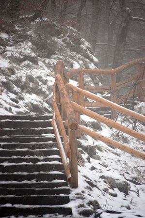 Stairs leading to the Savica waterfall through the misty forestの写真素材