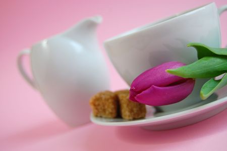 A cup of tea with cubes of brown sugar and a tulip on the plate and milk on the sideの写真素材
