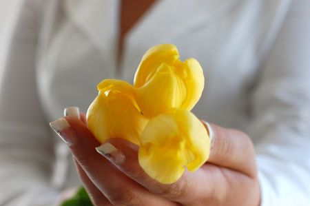 Young woman in dressed in white holding tree vibrant yellow tulipsの写真素材