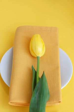 Yellow tulip and a napkin on a white plateの写真素材
