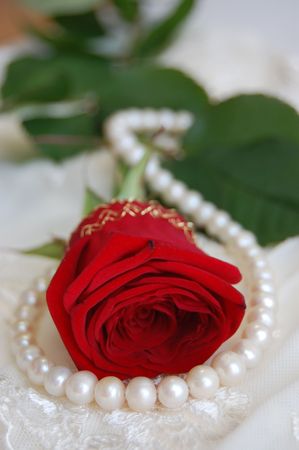 Red rose, lace and pearl necklaceの写真素材