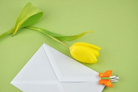 White envelope with a wooden butterfly clip and a yellow tulip