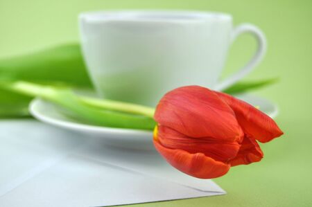 Red tulip and a cup of tea on a white envelopeの写真素材