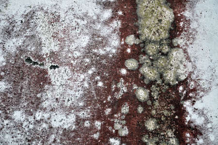 Old wall with red and white paint and moldの写真素材