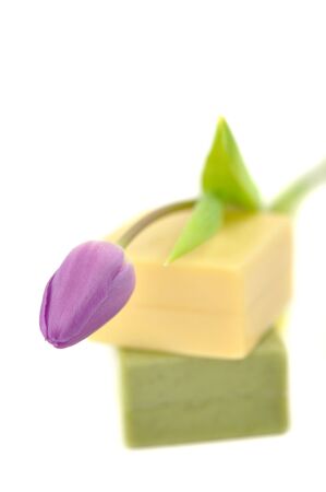 Purple tulip on two bars of natural soapの写真素材