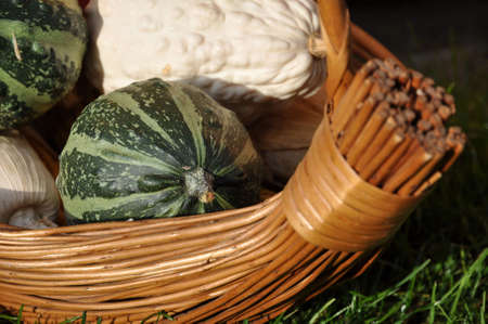 Pumpkins in a wicker basket in the morning sunの写真素材