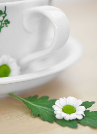 Tea cup and tiny white daisyの写真素材