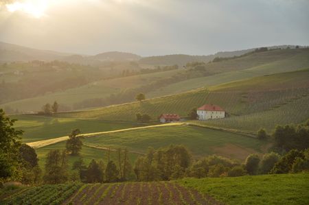 Sunset over the rolling hills